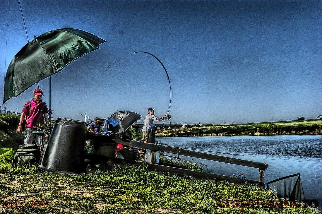 Party Cup - 2013 - 1010147hdrmode2.JPG